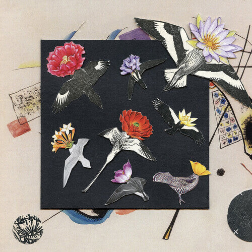 CD диск Davis, Caroline: Alula: Captivity
CD диск Davis, Caroline: Alula: Captivity