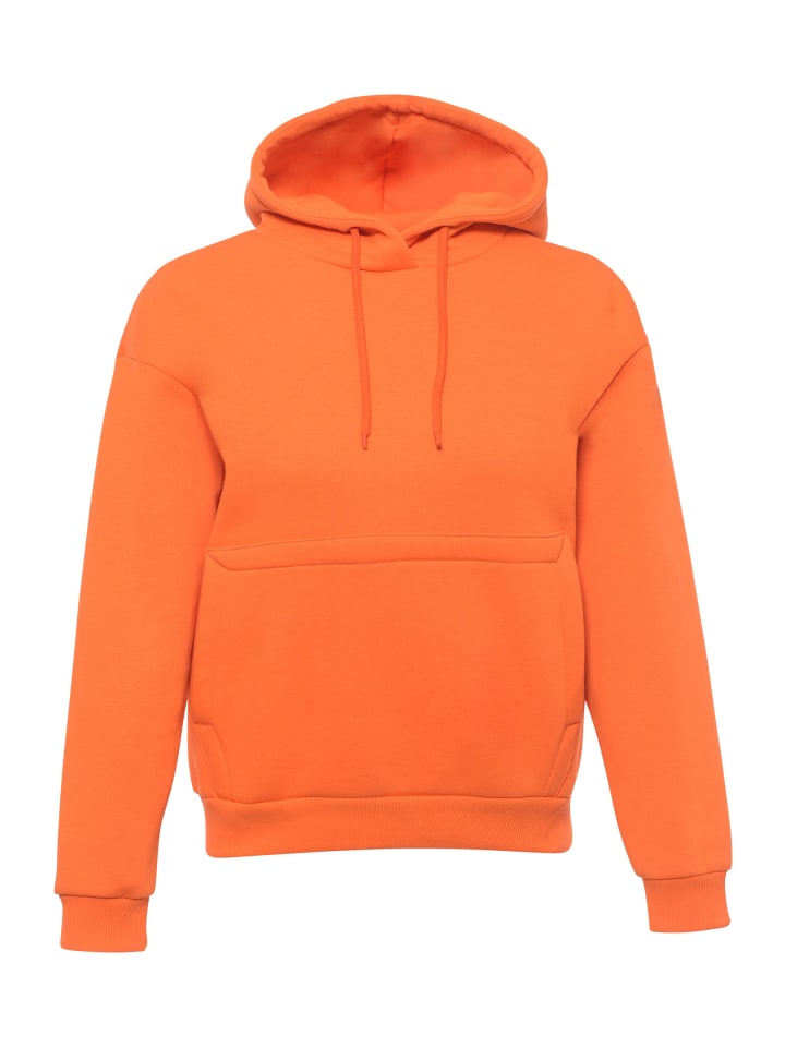 Толстовка Freshlions, оранжевый
Толстовка Freshlions, оранжевый