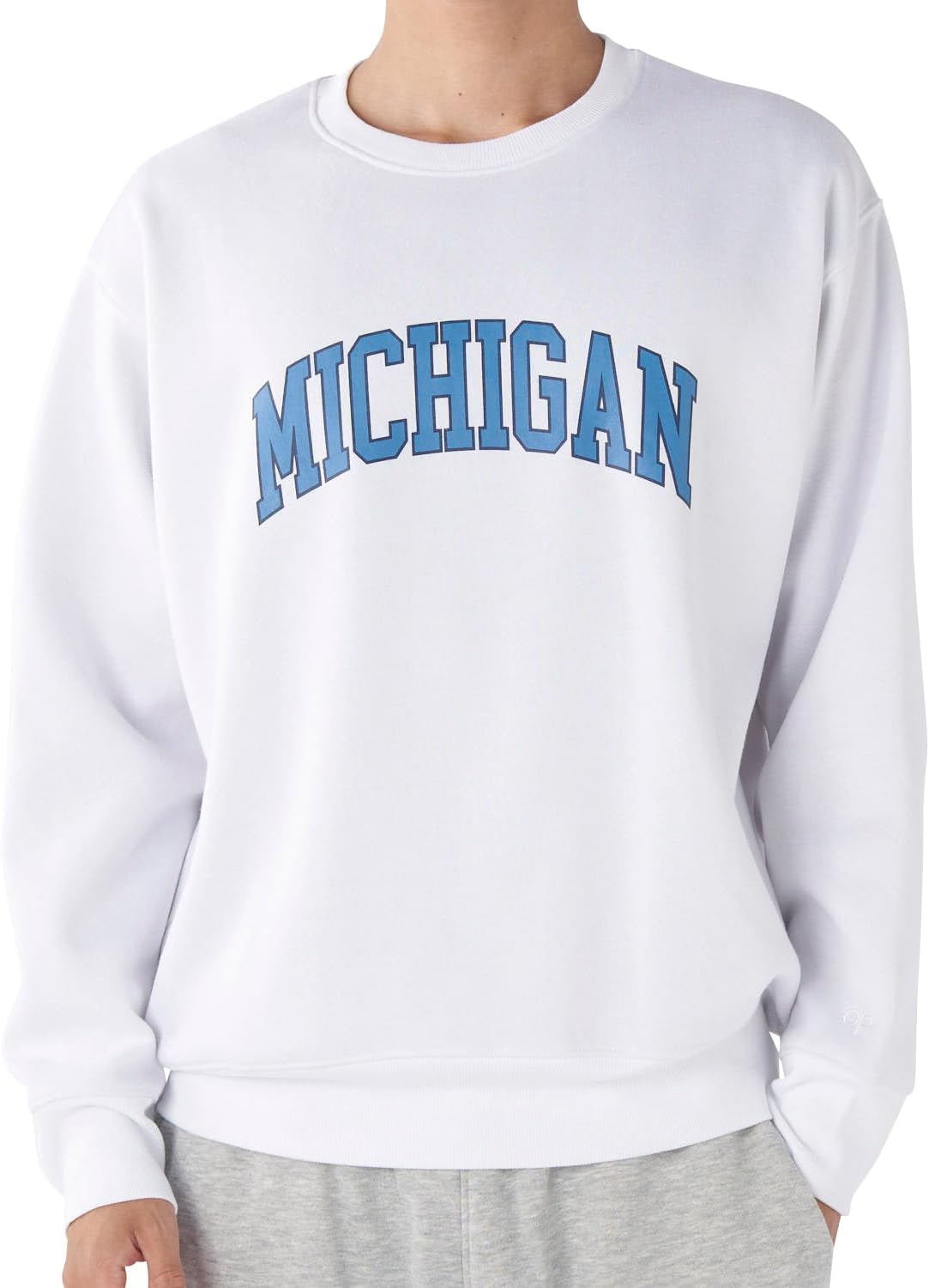 Мужская толстовка Ocean Pacific MICHIHAN 534017, с логотипом колледжа, с мягкой подкладкой, белый
Мужская толстовка Ocean Pacific MICHIHAN 534017, с логотипом колледжа, с мягкой подкладкой, белый