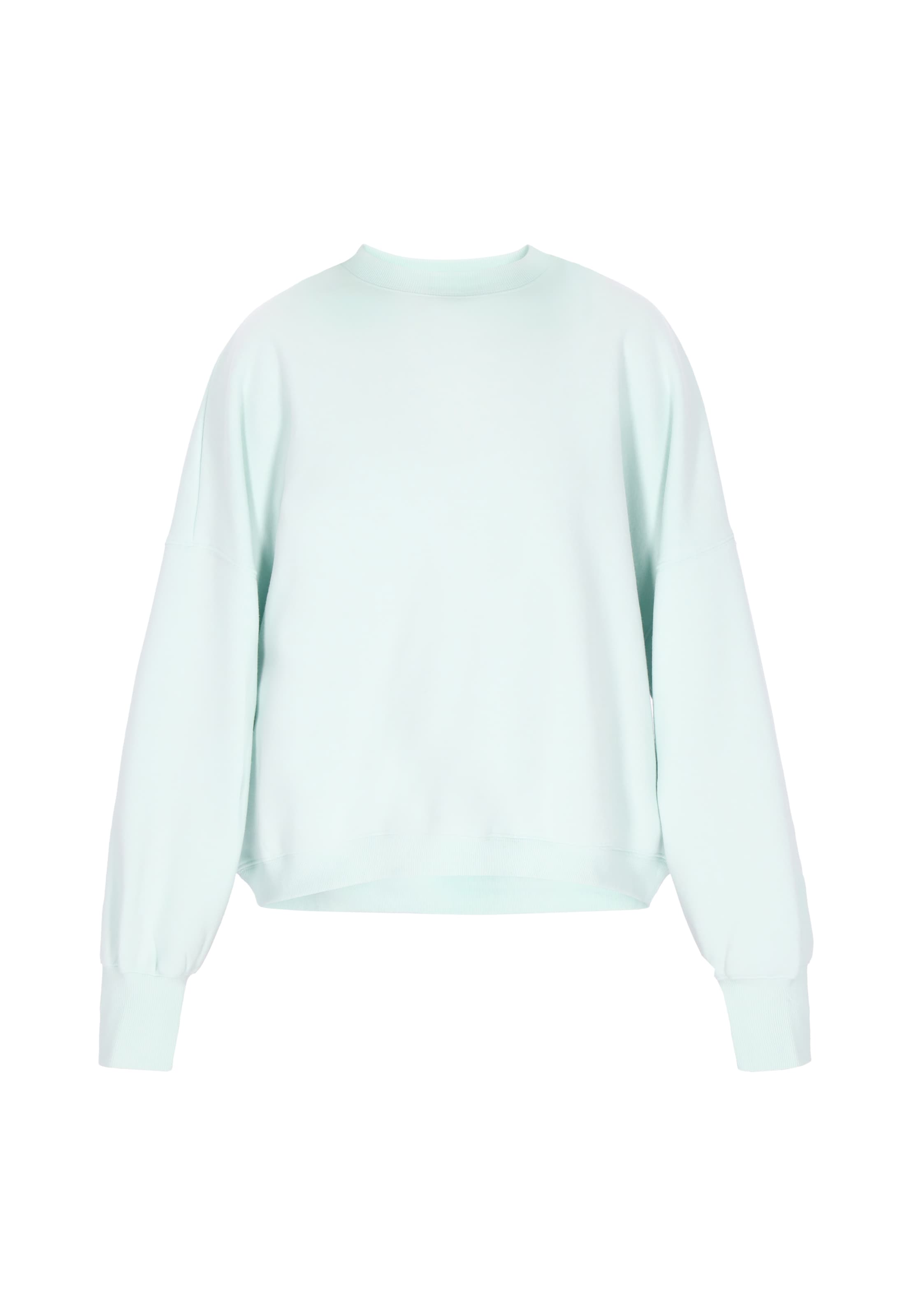 DreiMaster Vintage Свитшот в цвете Mint
DreiMaster Vintage Свитшот в цвете Mint