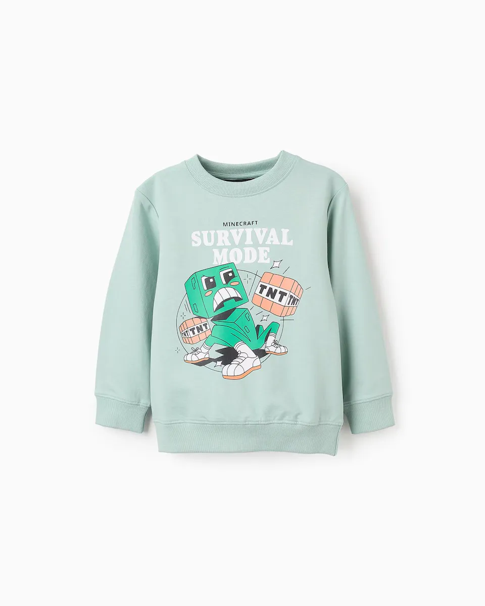 Толстовка для мальчика из 100% хлопка с тематикой Minecraft Zippy, светло-зеленый
Толстовка для мальчика из 100% хлопка с тематикой Minecraft Zippy, светло-зеленый
