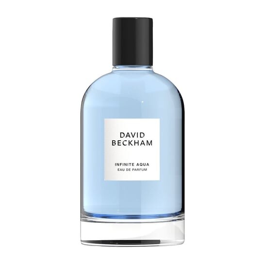 Парфюмированная вода для мужчин, 100 мл David Beckham, Collection Infinite Aqua
Парфюмированная вода для мужчин, 100 мл David Beckham, Collection Infinite Aqua
