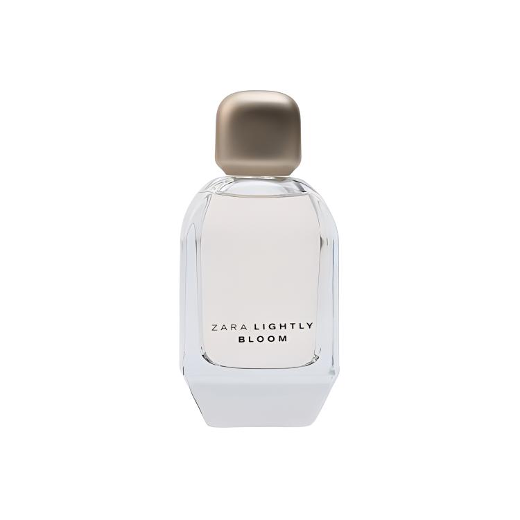 LIGHTLY BLOOM Perfumes Potpourri Accord Eau De Parfum Elegant 30мл/100мл Zara, 100ml
LIGHTLY BLOOM Perfumes Potpourri Accord Eau De Parfum Elegant 30мл/100мл Zara, 100ml