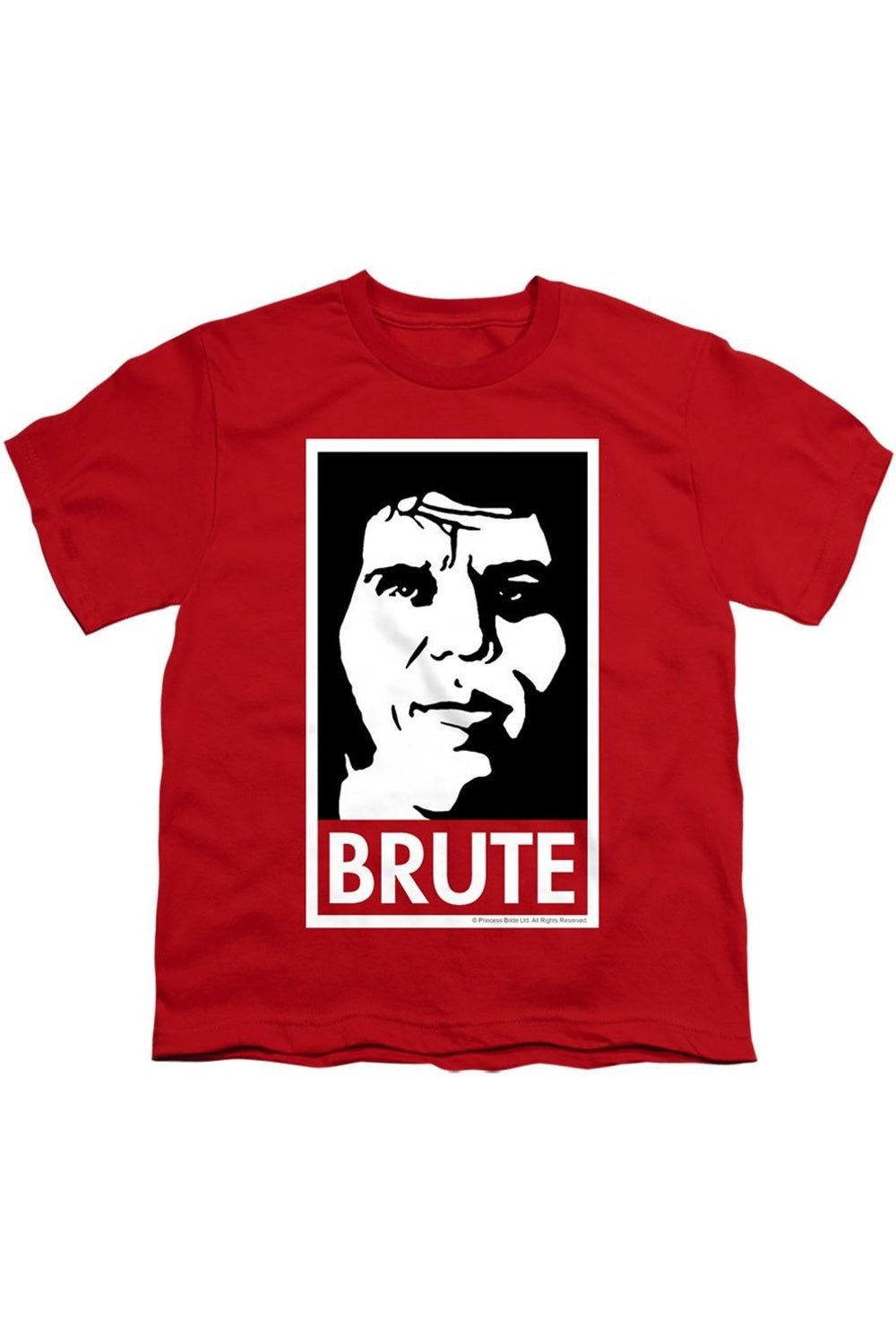Футболка с коротким рукавом для детей "Принцесса-невеста: Громила" Gildan, красный
Футболка с коротким рукавом для детей "Принцесса-невеста: Громила" Gildan, красный