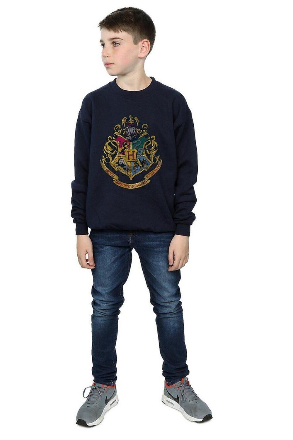 Хлопковая толстовка с домиками Хогвартса Harry Potter, темно-синий
Хлопковая толстовка с домиками Хогвартса Harry Potter, темно-синий