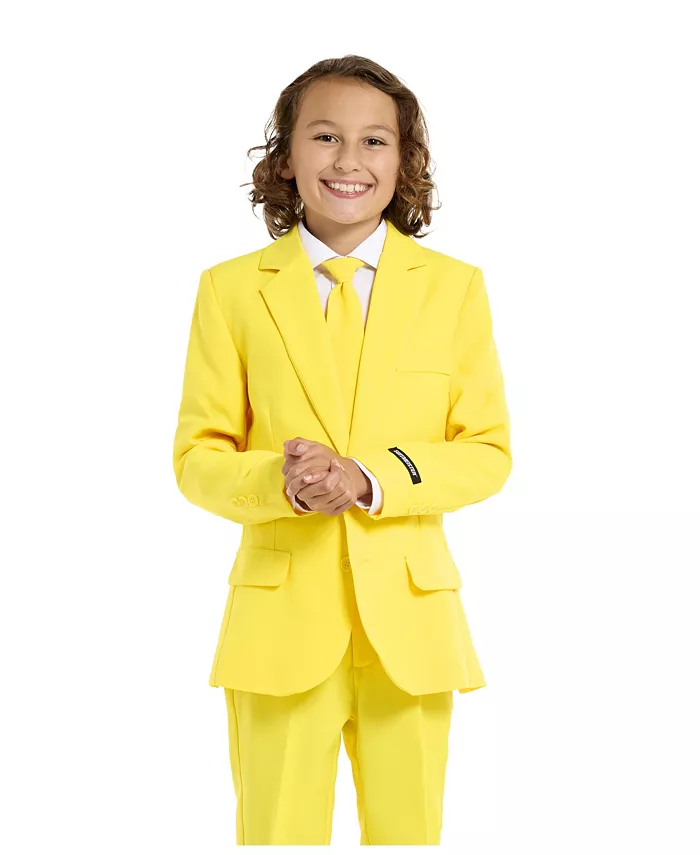 Костюм для мальчиков Suitmeister Little and Big Boys Halloween Dress Up Suit OppoSuits
Костюм для мальчиков Suitmeister Little and Big Boys Halloween Dress Up Suit OppoSuits