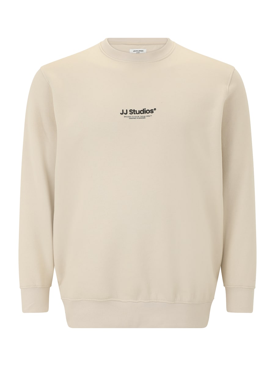 Толстовка Jack & Jones Plus JJESOHO, Stone
Толстовка Jack & Jones Plus JJESOHO, Stone