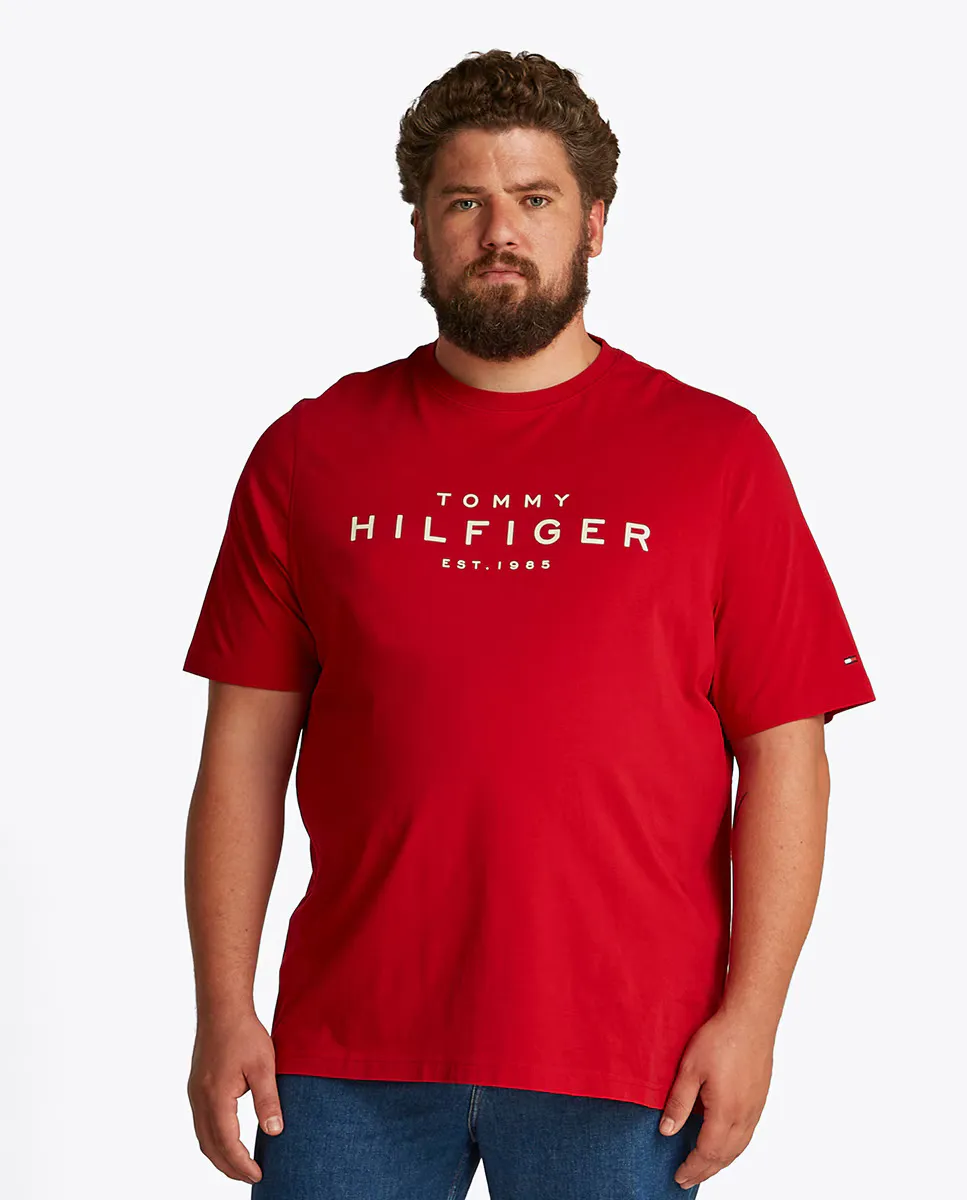 Футболка с короткими рукавами и принтом логотипа больших размеров Tommy Hilfiger, красный
Футболка с короткими рукавами и принтом логотипа больших размеров Tommy Hilfiger, красный