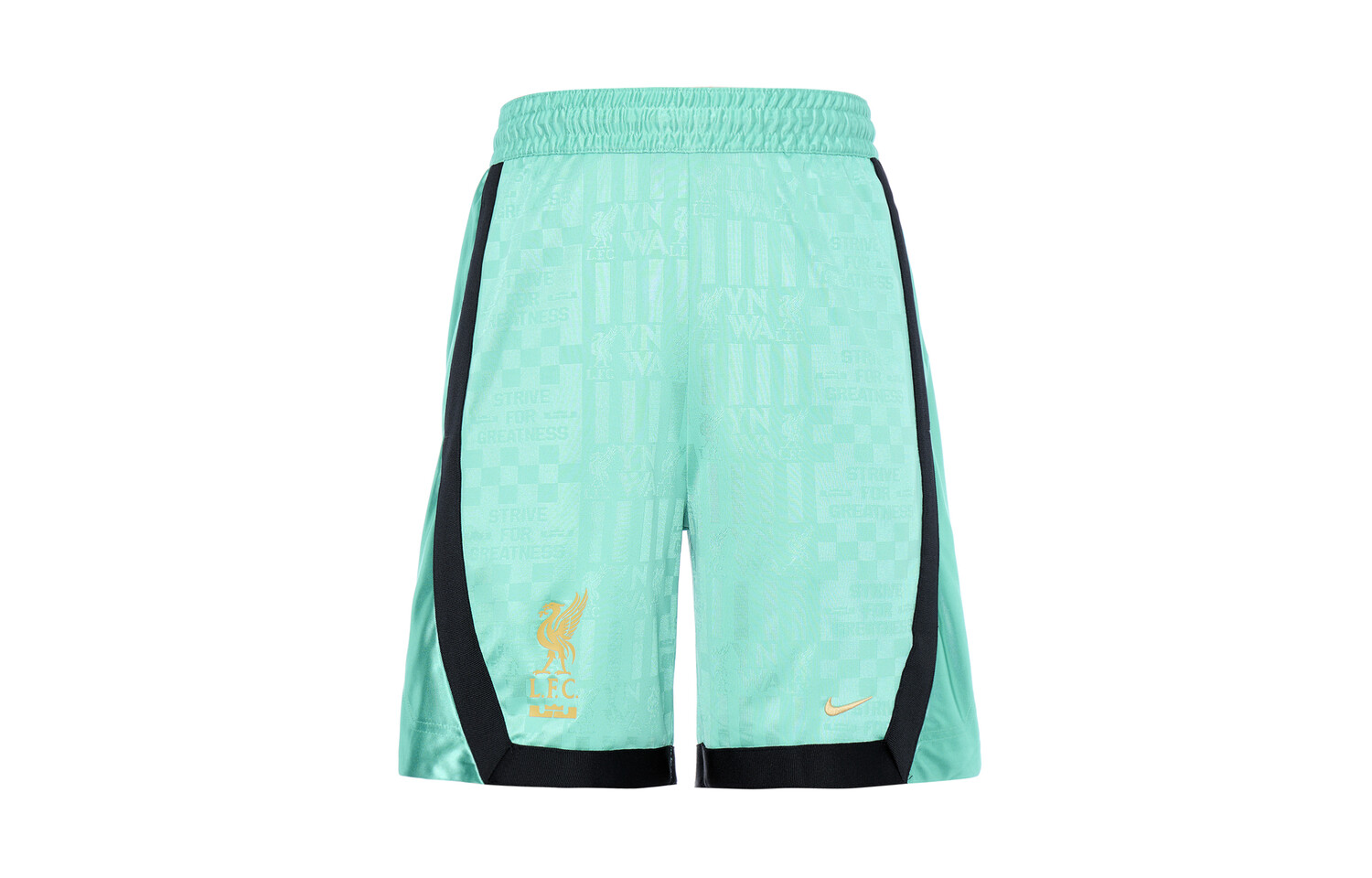 Мужские баскетбольные шорты Nike, цвет Wash cyan
Мужские баскетбольные шорты Nike, цвет Wash cyan