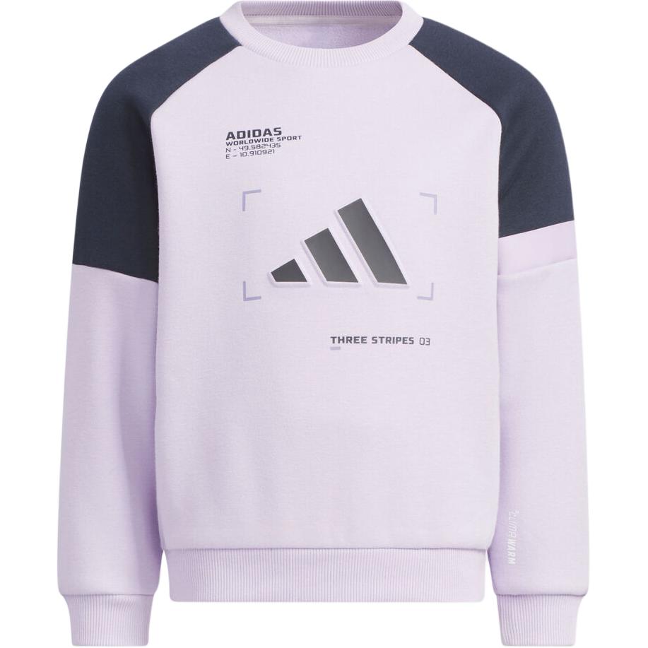 Детский свитшот Adidas, фиолетовый
Детский свитшот Adidas, фиолетовый