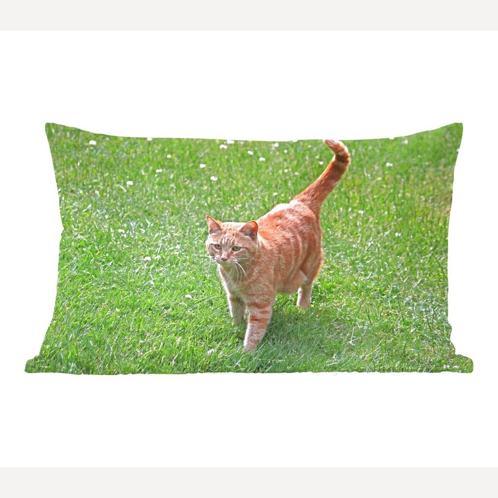 MuchoWow Cats - Красный кот в траве - 60x40 см - Чехлы на подушки - Декоративные чехлы на подушки - Декоративные чехлы на подушки
MuchoWow Cats - Красный кот в траве - 60x40 см - Чехлы на подушки - Декоративные чехлы на подушки - Декоративные чехлы на подушки