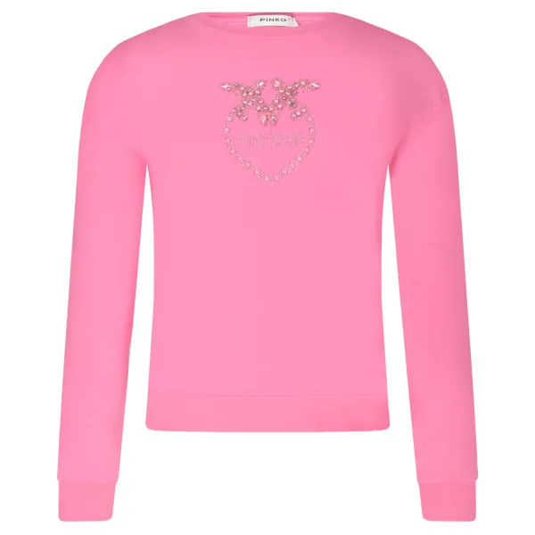 Толстовка обычного кроя Pinko Up, розовый
Толстовка обычного кроя Pinko Up, розовый
