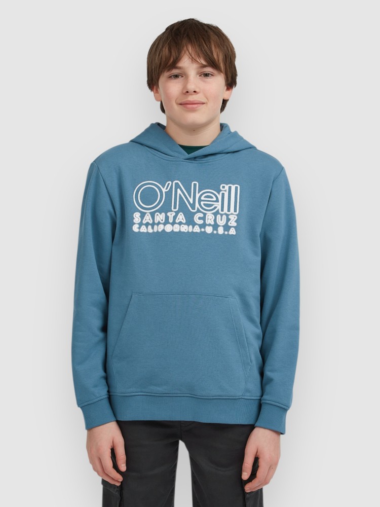 Толстовка O'Neill Essentials Kids Hoodie, mozart blue
Толстовка O'Neill Essentials Kids Hoodie, mozart blue