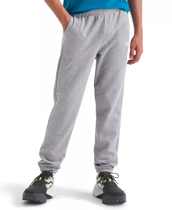 Брюки Big Boys Teen Evolution The North Face, серый
Брюки Big Boys Teen Evolution The North Face, серый
