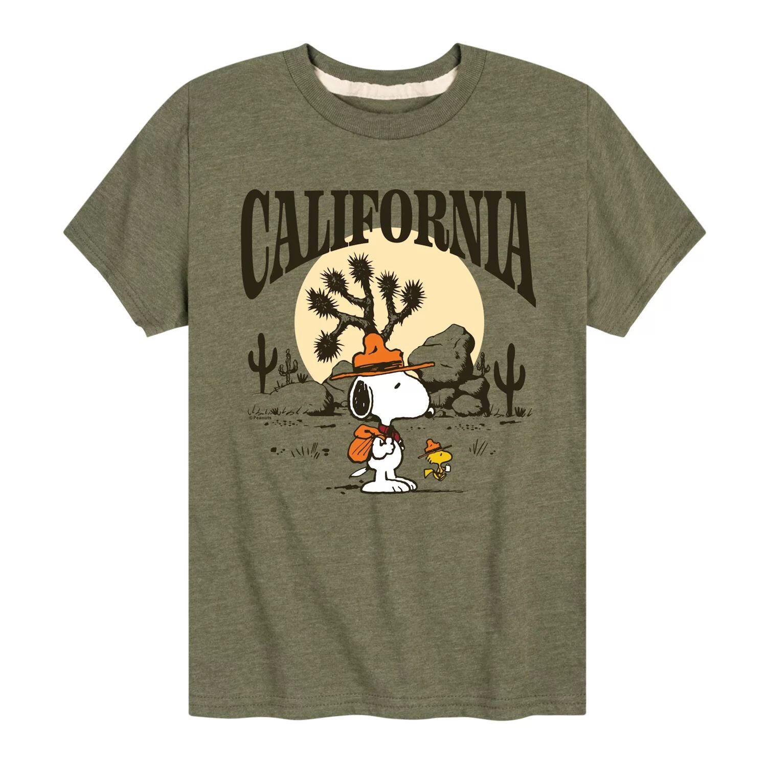 Футболка с рисунком Peanuts California для мальчиков 8–20 лет Licensed Character, зеленый
Футболка с рисунком Peanuts California для мальчиков 8–20 лет Licensed Character, зеленый