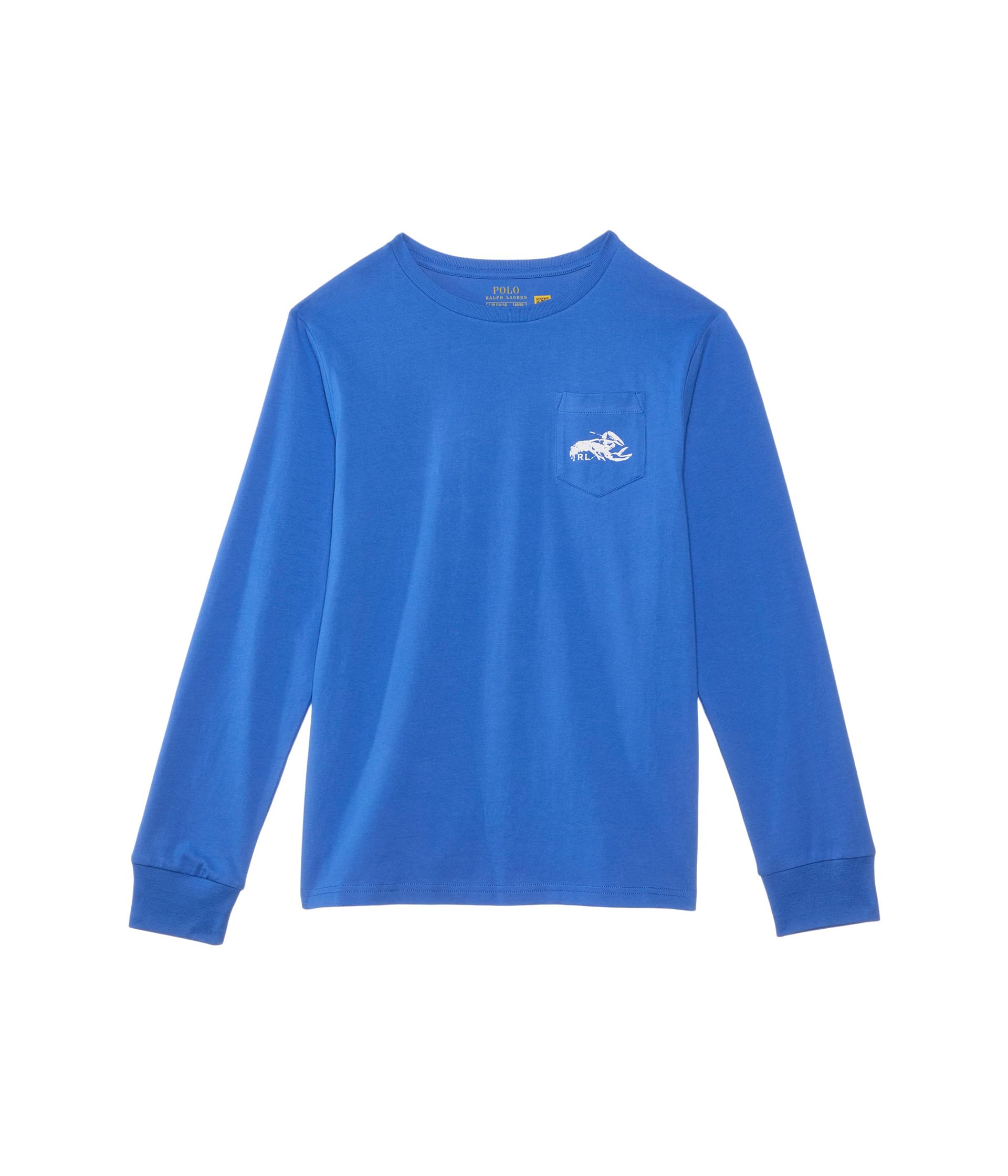Футболка Polo Ralph Lauren Kids Cotton Jersey Long-Sleeve Graphic Tee, цвет Scottsdale Blue
Футболка Polo Ralph Lauren Kids Cotton Jersey Long-Sleeve Graphic Tee, цвет Scottsdale Blue