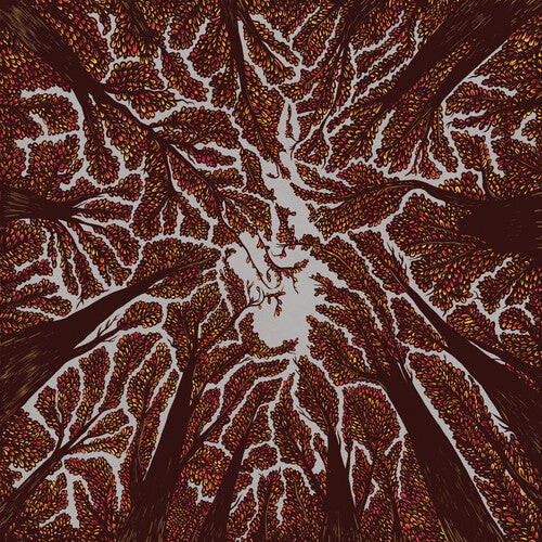 CD диск Trash Boat: Crown Shyness
CD диск Trash Boat: Crown Shyness