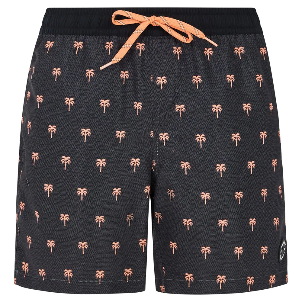 Шорты для плавания Protest Parco, серый
Шорты для плавания Protest Parco, серый