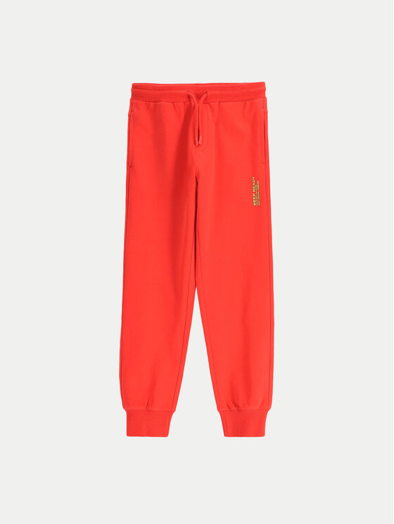 Спортивные брюки обычного кроя WC5120101VBA Coccodrillo, красный
Спортивные брюки обычного кроя WC5120101VBA Coccodrillo, красный