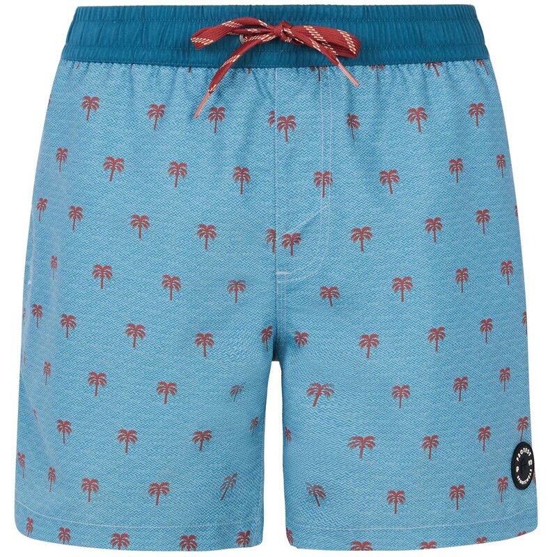 Шорты для плавания prtparco Protest, голубой
Шорты для плавания prtparco Protest, голубой