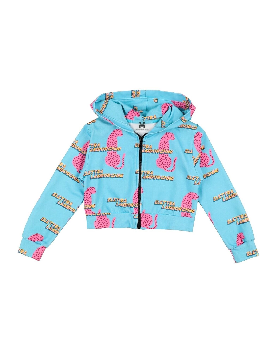 Толстовка Elettra Lamborghini, бирюзовый
Толстовка Elettra Lamborghini, бирюзовый