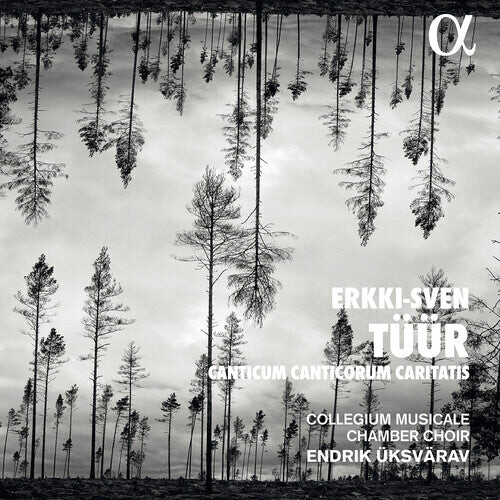 CD диск Tuur / Collegium Musical Chamber Choir: Canticum Canticorum Caritatis
CD диск Tuur / Collegium Musical Chamber Choir: Canticum Canticorum Caritatis