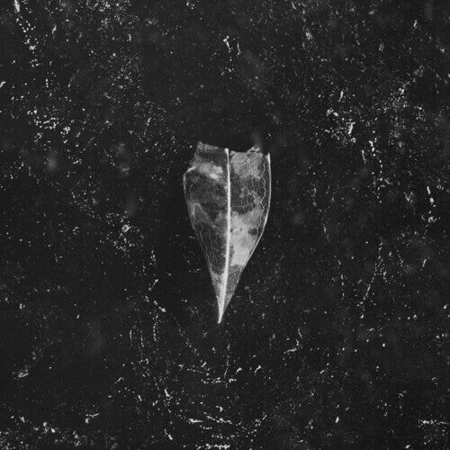 CD диск Bees Made Honey in the Vein Tree: Aion
CD диск Bees Made Honey in the Vein Tree: Aion