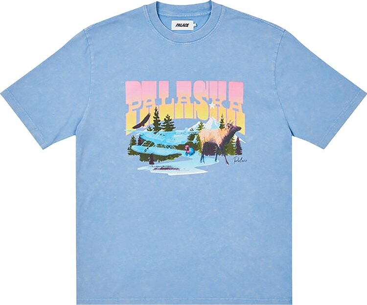 Футболка Palace Palaska Dye T-Shirt 'Blue', синий
Футболка Palace Palaska Dye T-Shirt 'Blue', синий