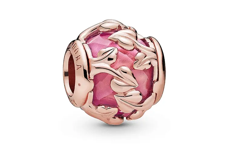 Pandora Jewelry Accessories Women's Copper silver Alloy
Pandora Jewelry Accessories Women's Copper silver Alloy