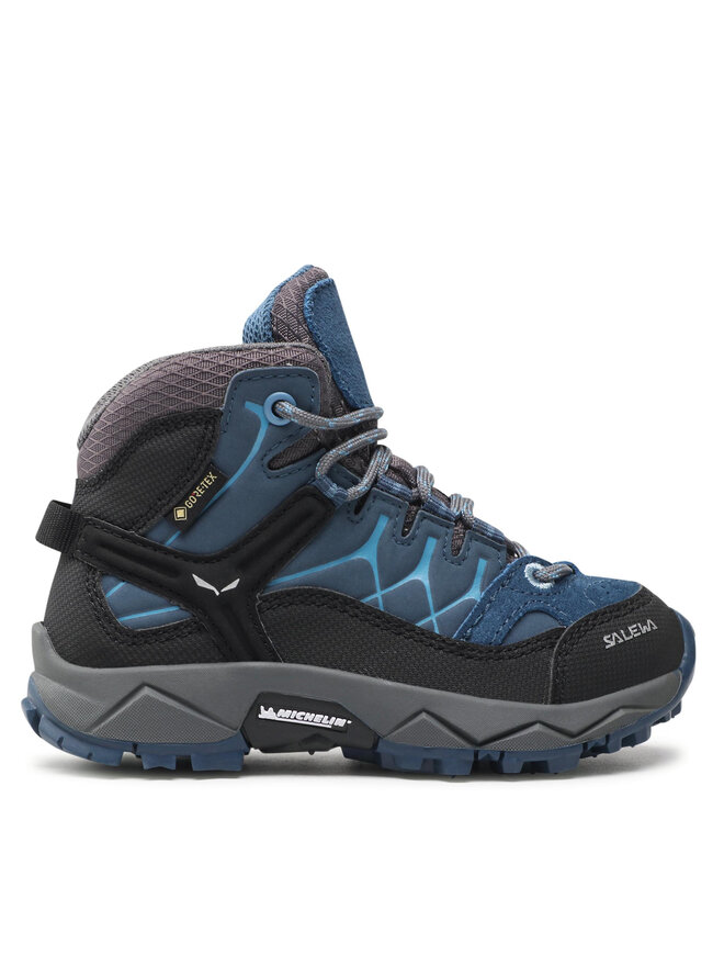 Треккинговые кроссовки Jr Alp Trainer Mid Gtx GORE-TEX 64010-0365 Salewa, синий
Треккинговые кроссовки Jr Alp Trainer Mid Gtx GORE-TEX 64010-0365 Salewa, синий