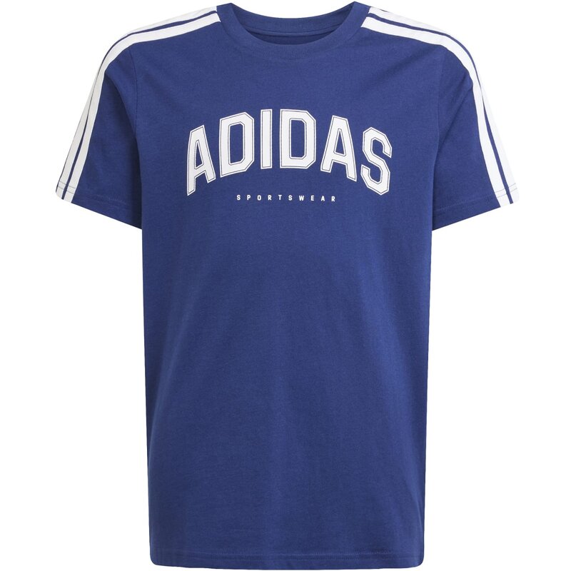 Коды футболок для студенческой графики для детей Adidas, цвет dkblue
Коды футболок для студенческой графики для детей Adidas, цвет dkblue