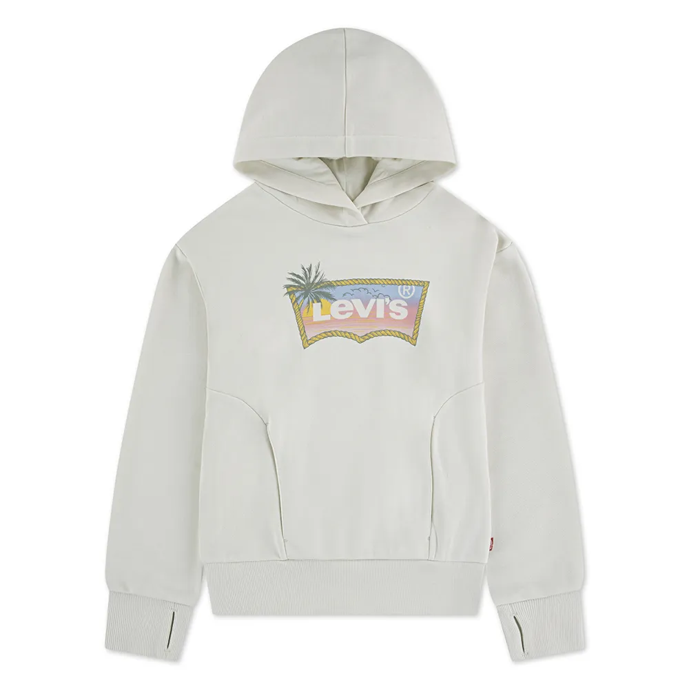 Худи Levi's Ombre Batwing, белый
Худи Levi's Ombre Batwing, белый