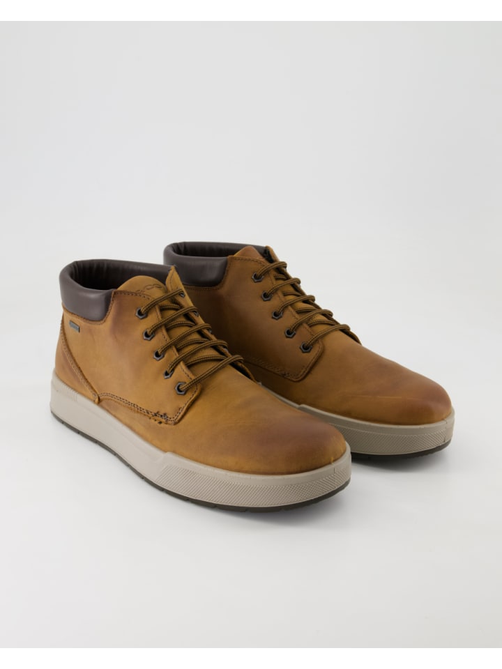 Сапоги Igi&Co Stiefeletten, коричневый 
Сапоги Igi&Co Stiefeletten, коричневый