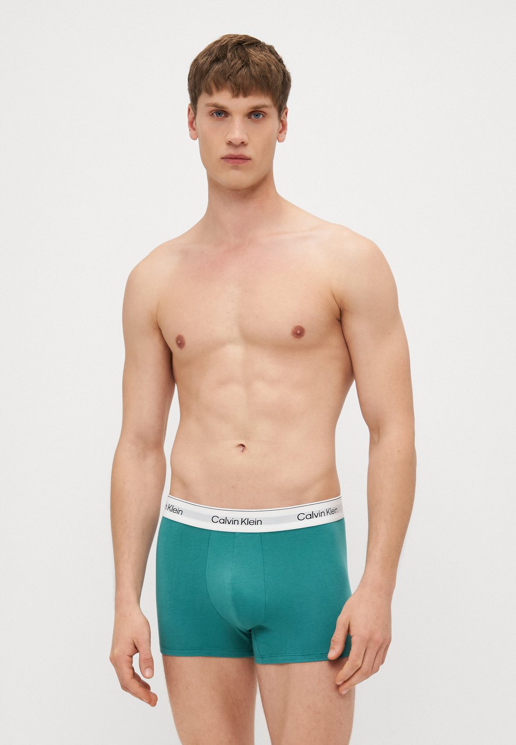 Брюки TRUNK ICON 5 PACK Calvin Klein Underwear, мультиколор
Брюки TRUNK ICON 5 PACK Calvin Klein Underwear, мультиколор