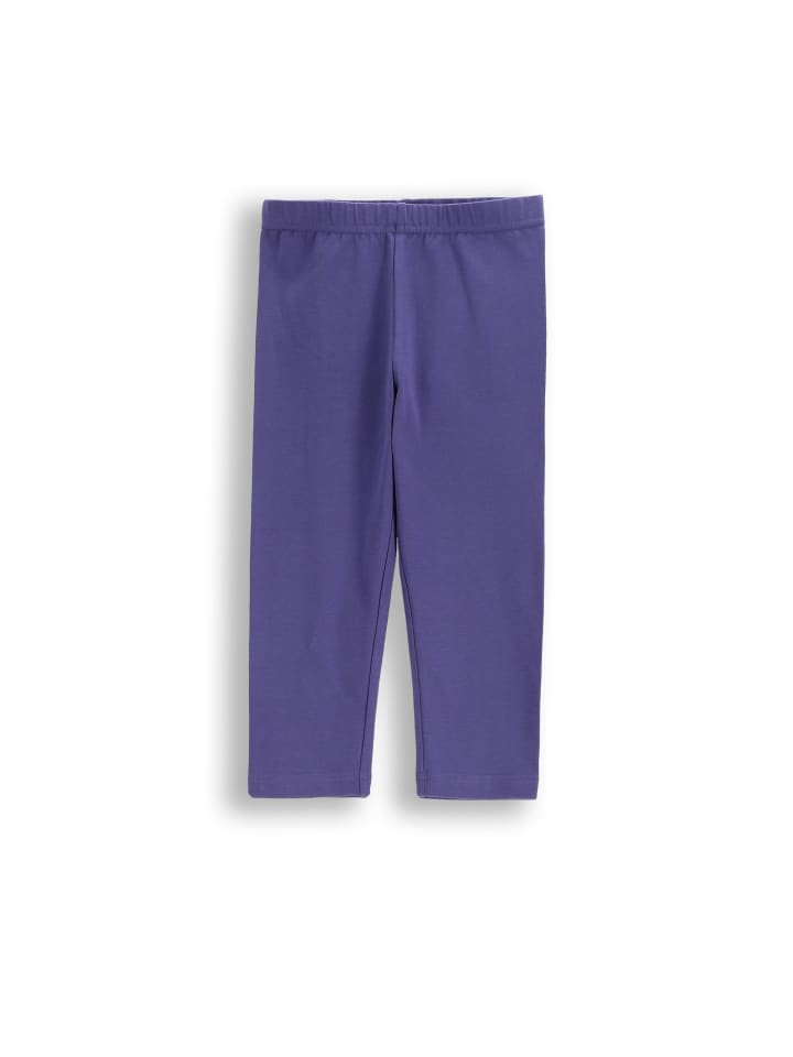 Леггинсы Coccodrillo, фиолетовый
Леггинсы Coccodrillo, фиолетовый