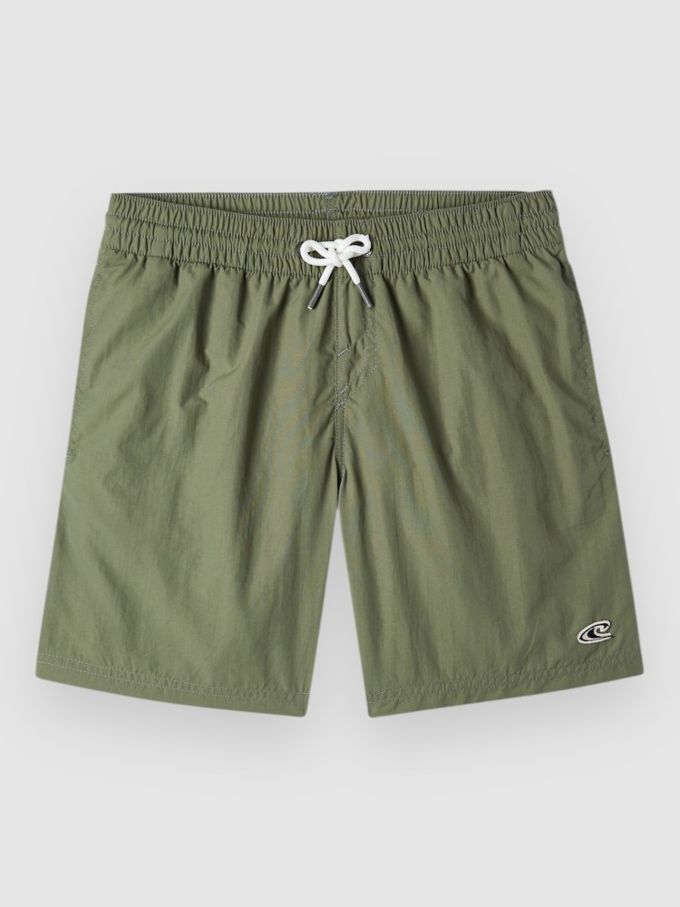 Пляжные шорты O'Neill Vert 14 Kids Boardshorts, deep lichen green
Пляжные шорты O'Neill Vert 14 Kids Boardshorts, deep lichen green