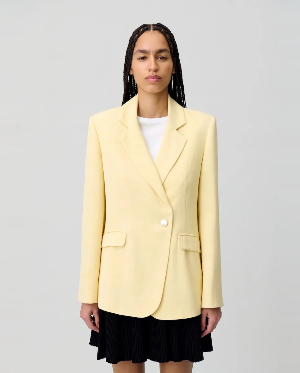 Женский пиджак Claudie Pierlot, жёлтый
Женский пиджак Claudie Pierlot, жёлтый