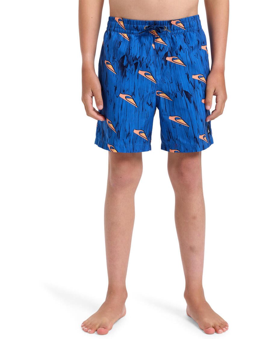 QUIKSILVER Плавки-шорты NEXT GEN 14" синие для мальчиков
QUIKSILVER Плавки-шорты NEXT GEN 14" синие для мальчиков