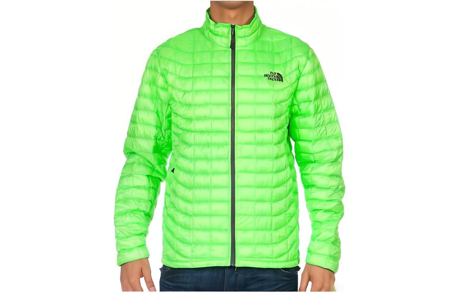 Куртка мужская зеленая The North Face, зеленый
Куртка мужская зеленая The North Face, зеленый