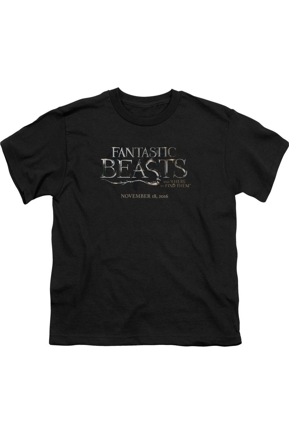 Футболка с коротким рукавом для детей с логотипом "Фантастические твари" Gildan, черный
Футболка с коротким рукавом для детей с логотипом "Фантастические твари" Gildan, черный