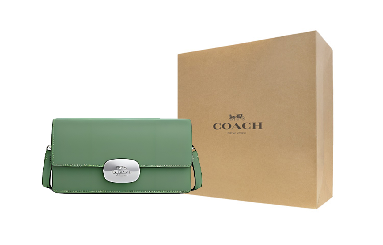 COACH Сумка через плечо Eliza Refined Calfskin, маленькая женская сумка-кроссбоди серебро и светло-зеленый
COACH Сумка через плечо Eliza Refined Calfskin, маленькая женская сумка-кроссбоди серебро и светло-зеленый
