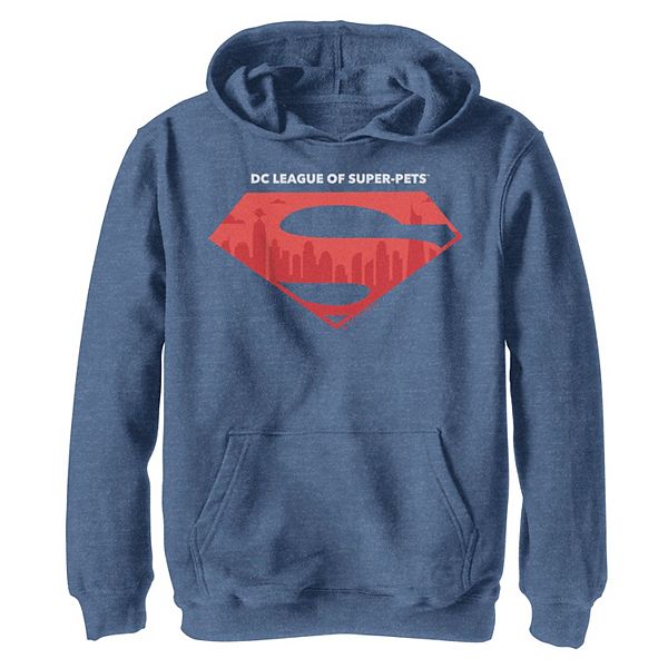 Толстовка с логотипом Superman City для мальчиков 4-20 Licensed Character
Толстовка с логотипом Superman City для мальчиков 4-20 Licensed Character