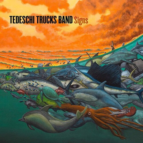 Виниловая пластинка Tedeschi Trucks Band: Signs
Виниловая пластинка Tedeschi Trucks Band: Signs