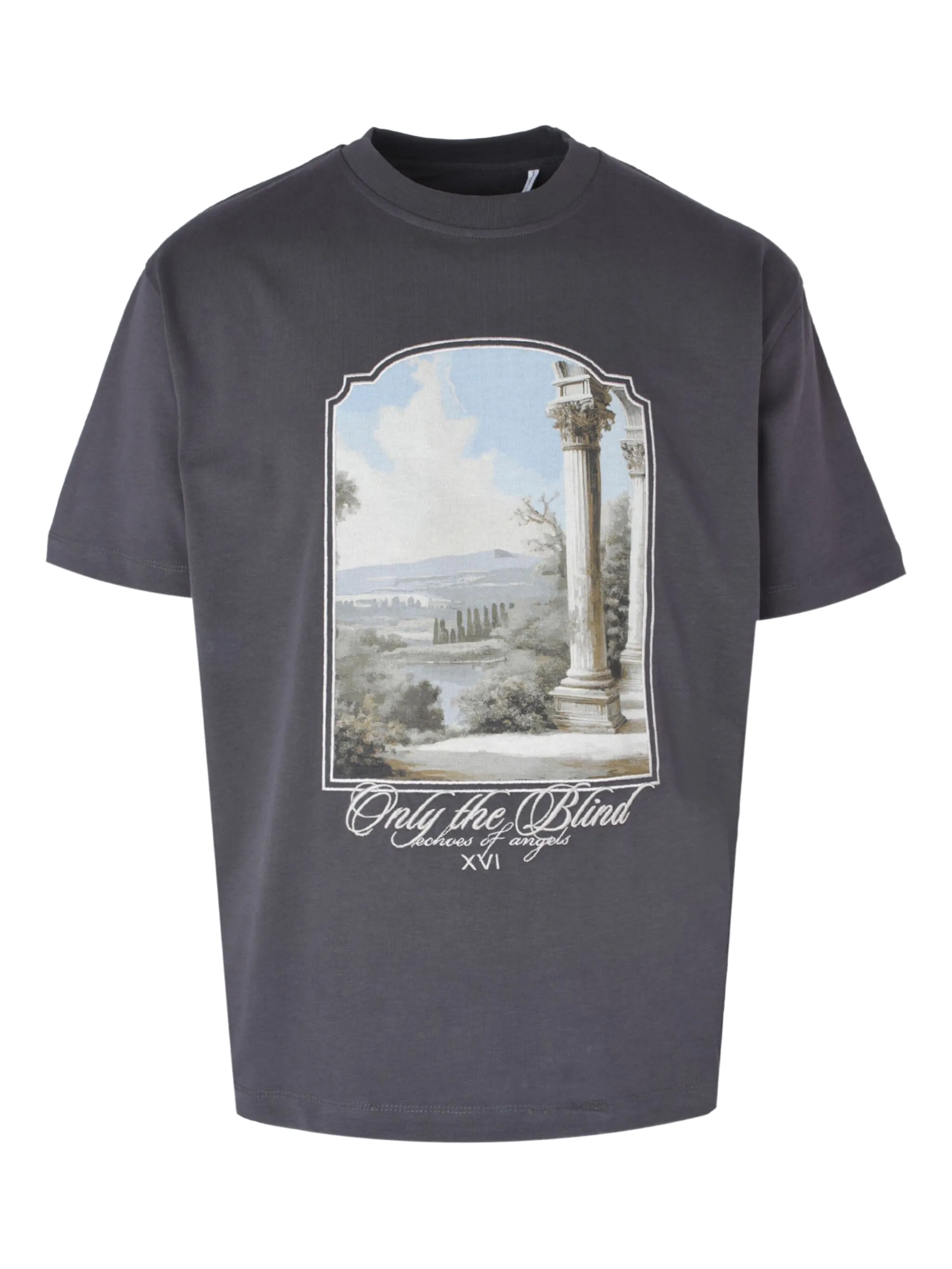 Футболка с круглым вырезом Only The Blind, серый
Футболка с круглым вырезом Only The Blind, серый