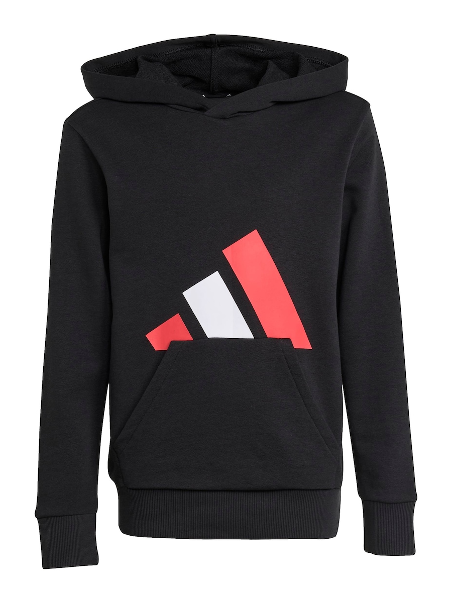 Спортивная толстовка ADIDAS SPORTSWEAR Essentials, черный
Спортивная толстовка ADIDAS SPORTSWEAR Essentials, черный