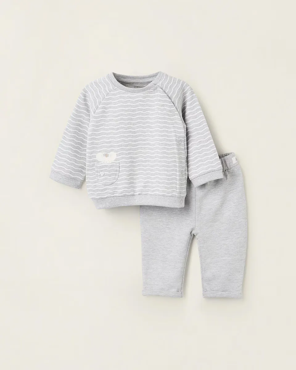 Серый спортивный костюм для мальчика с толстовкой с принтом Zippy, светло-серый
Серый спортивный костюм для мальчика с толстовкой с принтом Zippy, светло-серый