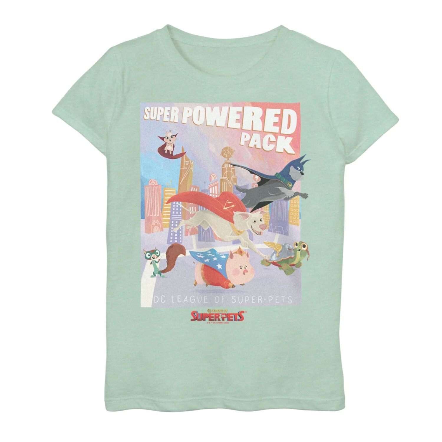 Футболка с графическим рисунком DC Super Pets Super Powered Pack для девочек 7–16 лет DC Comics
Футболка с графическим рисунком DC Super Pets Super Powered Pack для девочек 7–16 лет DC Comics