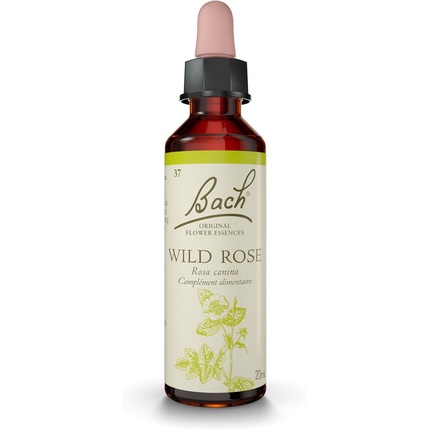 Bach Flowers Original Wild Rose № 37 для большего амбициозности Famille De Sentiment De
Bach Flowers Original Wild Rose № 37 для большего амбициозности Famille De Sentiment De