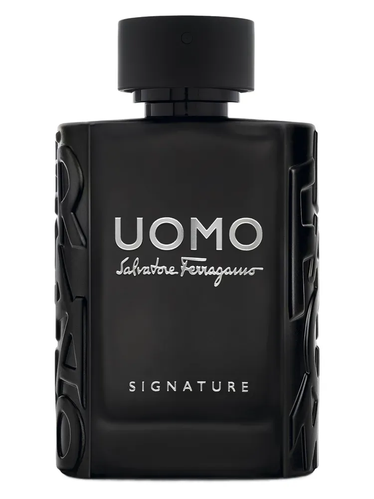 Парфюмированная вода Salvatore Ferragamo Uomo Signature, 100 мл
Парфюмированная вода Salvatore Ferragamo Uomo Signature, 100 мл