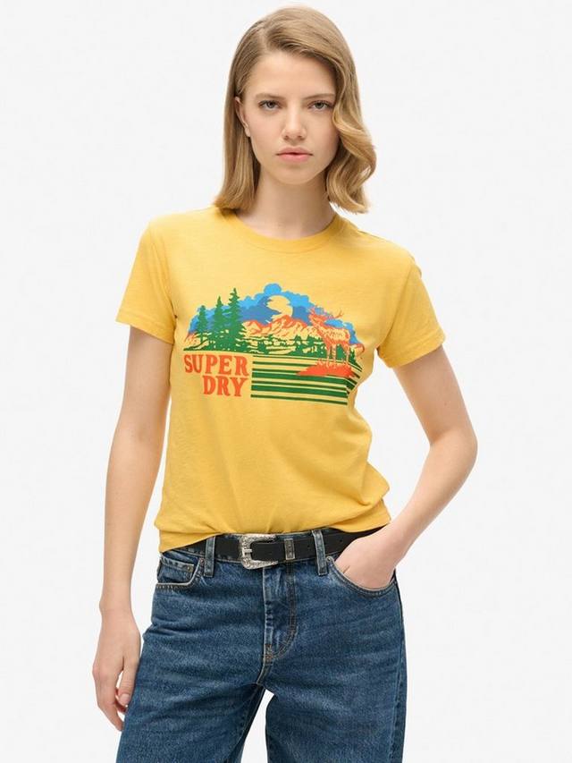 Уличная графическая футболка из органического хлопка Superdry, цвет Pigment Yellow
Уличная графическая футболка из органического хлопка Superdry, цвет Pigment Yellow